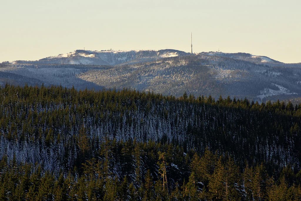 Snow-dusted coniferous forest extending across rolling hills with Hornisgrinde peak visible in the distance under a clear sky