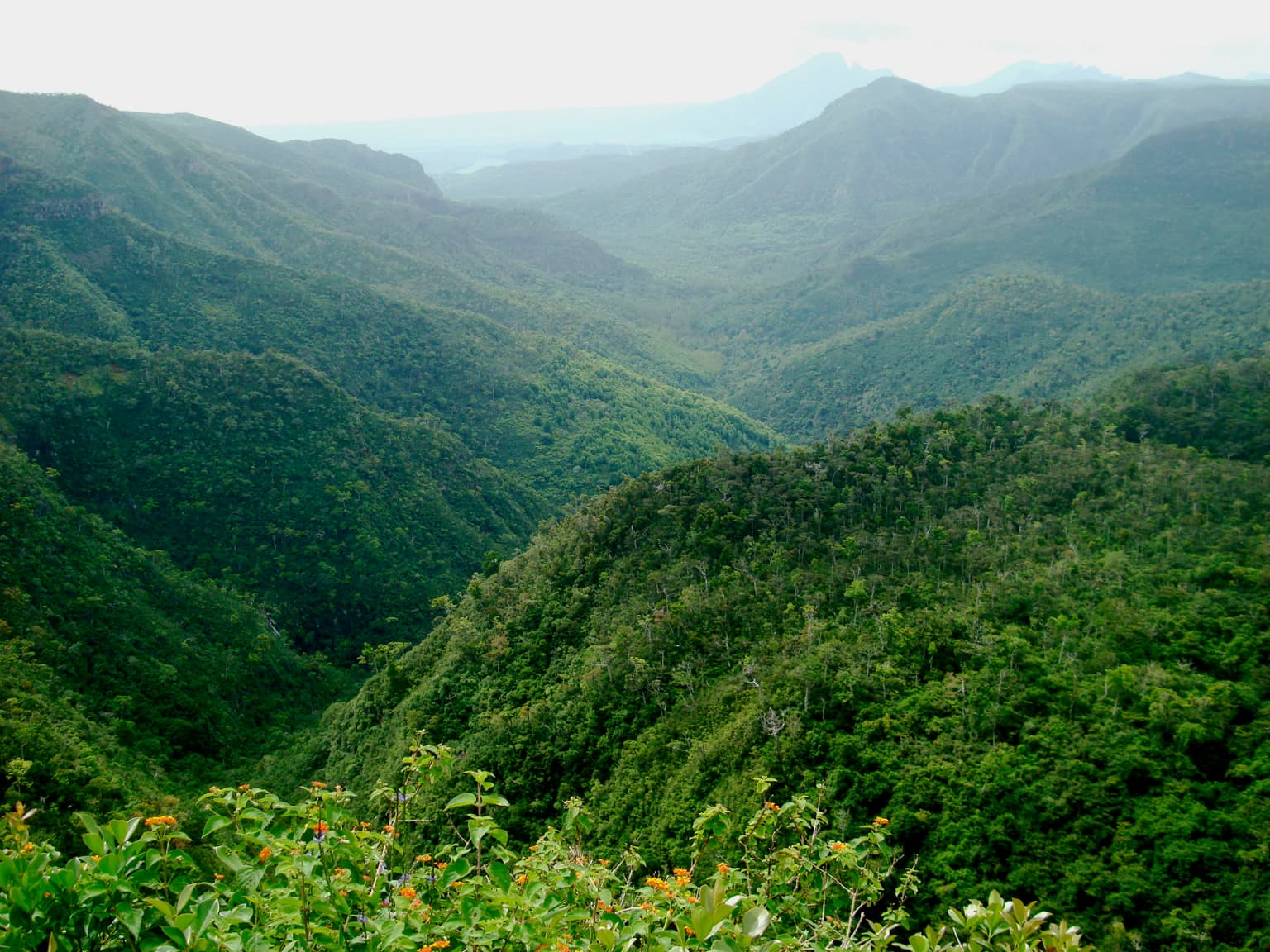 Black River Gorges National Park, Mauritius.jpg