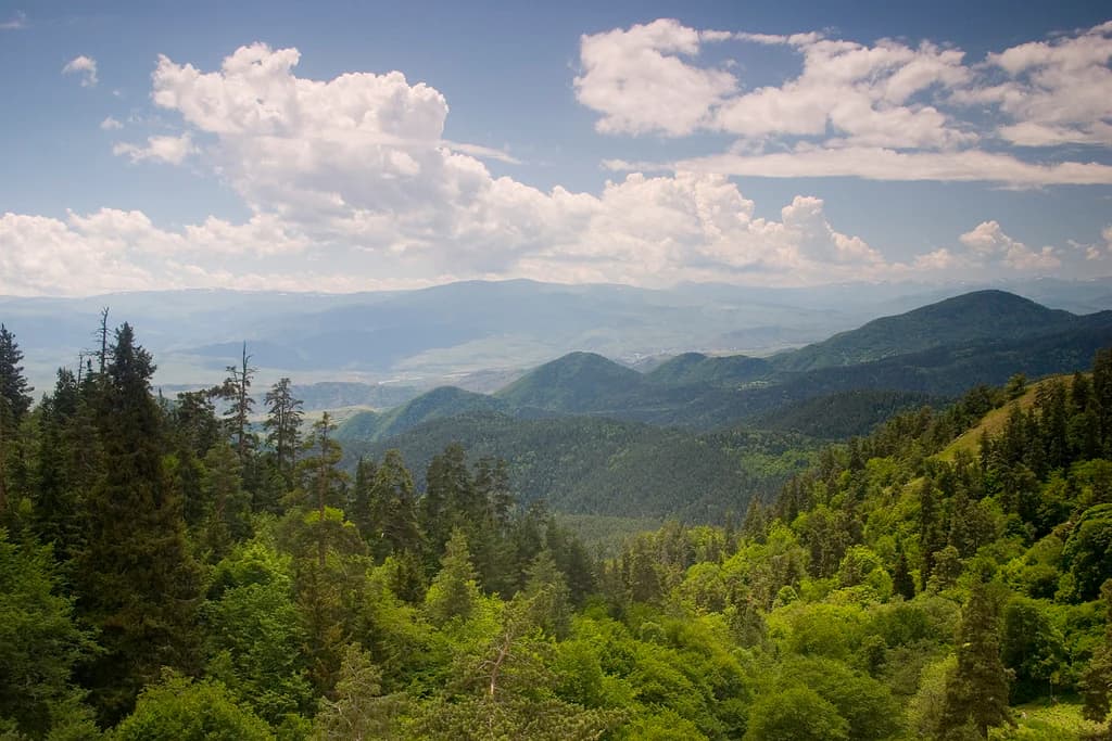 Mountain landscape with green forests and rolling hills under a partly cloudy sky
