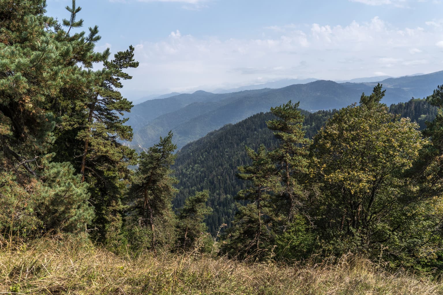 Mountainous landscape with dense forested hills and grassy foreground under a partly cloudy sky