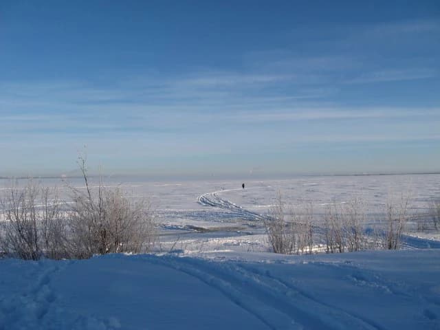 Snow-covered landscape with frozen bay, bare bushes, and a person walking in the distance under a clear blue sky.