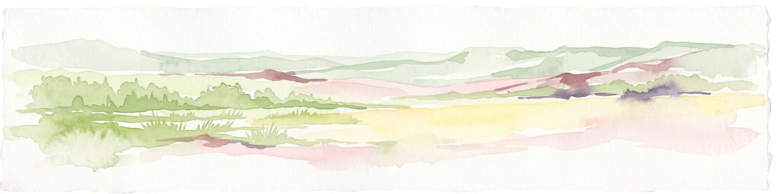 A pale, minimalist watercolor illustration of a wide, open grassy landscape with soft rolling hills in the background and light green vegetation in the foreground.