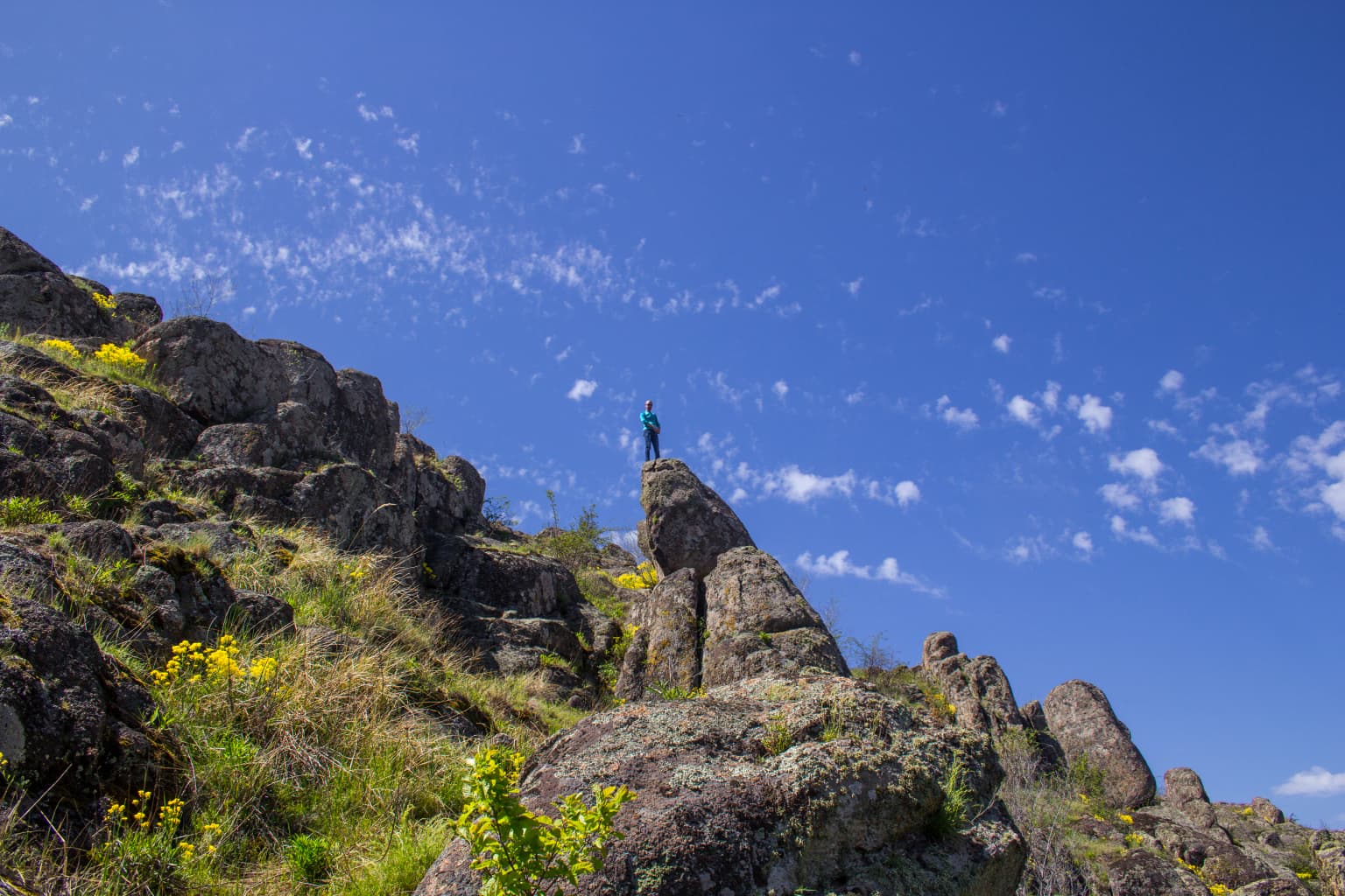 Rocky canyon landscape with a person standing on a large rock formation, yellow wildflowers, and blue sky with scattered clouds