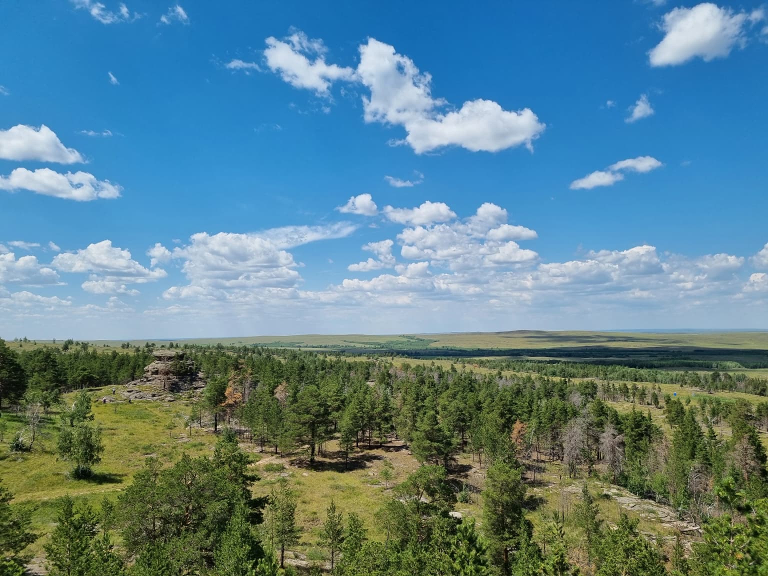 Landscape of Buiratau National Park featuring rolling grassy hills, scattered pine trees, and a bright blue sky with scattered clouds