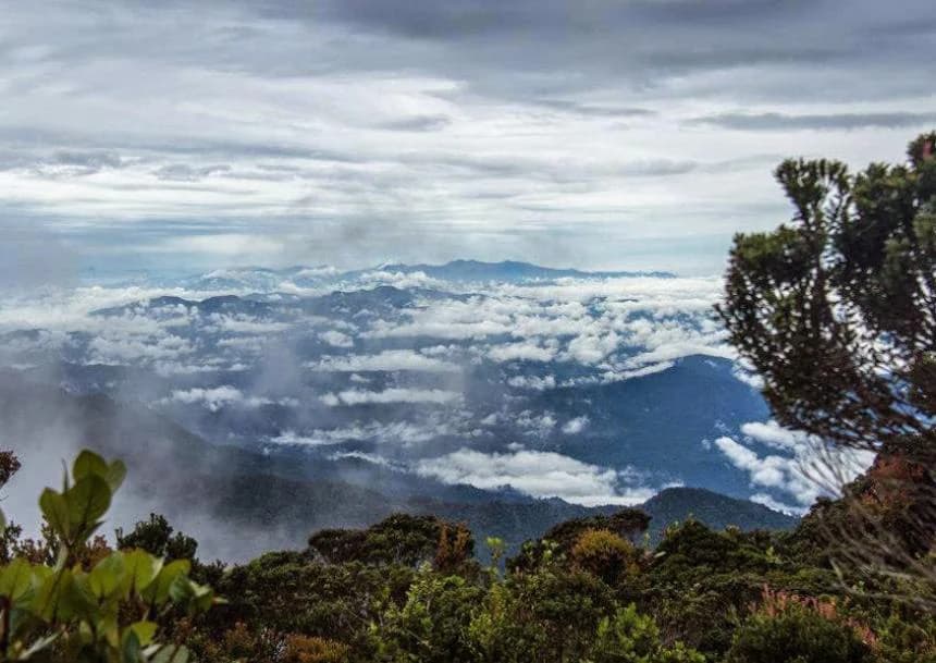 Paisaje panorámico con picos de montañas sobre nubes y vegetación verde en primer plano