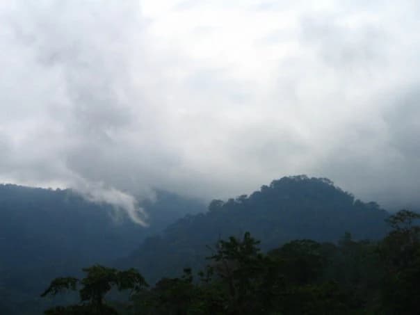 Cordillera con bosque denso bajo cielo nublado, con las montañas Schwaner al fondo