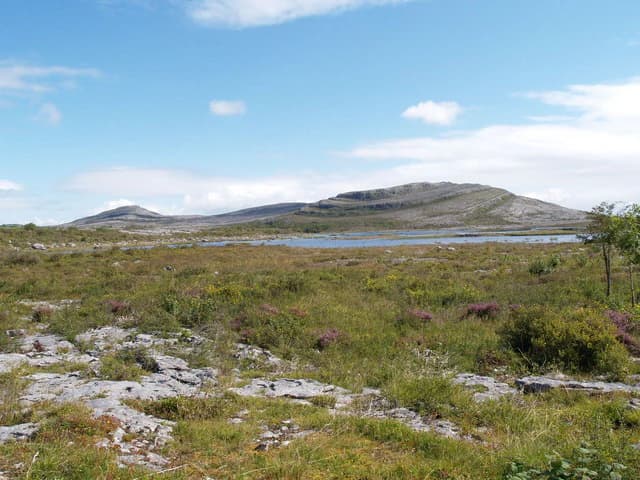 Karst landscape with rocky outcrops, grassy plains, and distant hills under a partly cloudy sky.