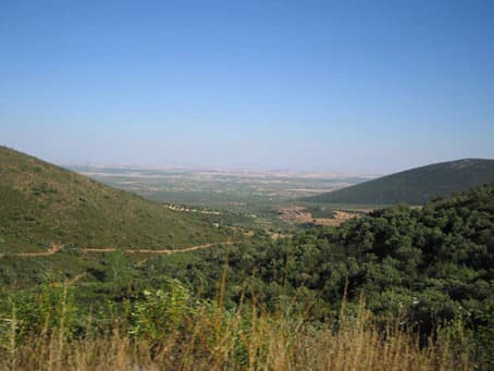 Wide landscape view showing rolling hills and valleys with a winding road, surrounded by dense Mediterranean forest under clear blue sky