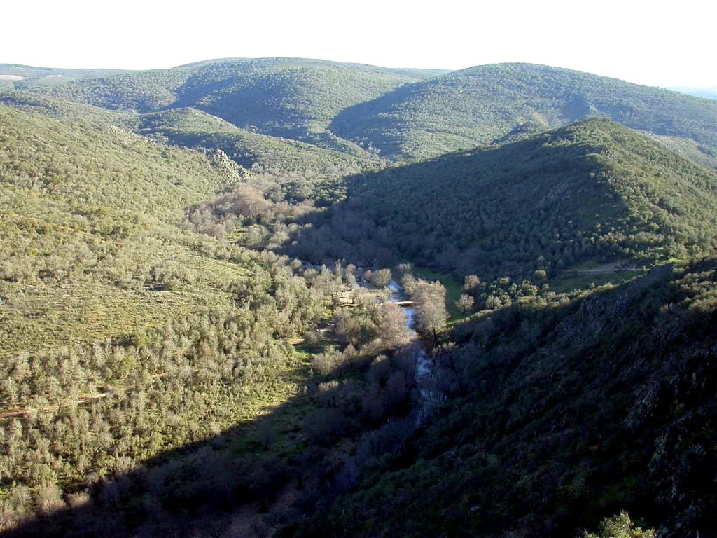 Wide landscape view showing rolling hills and valleys covered in dense Mediterranean forest with a stream running through the valley