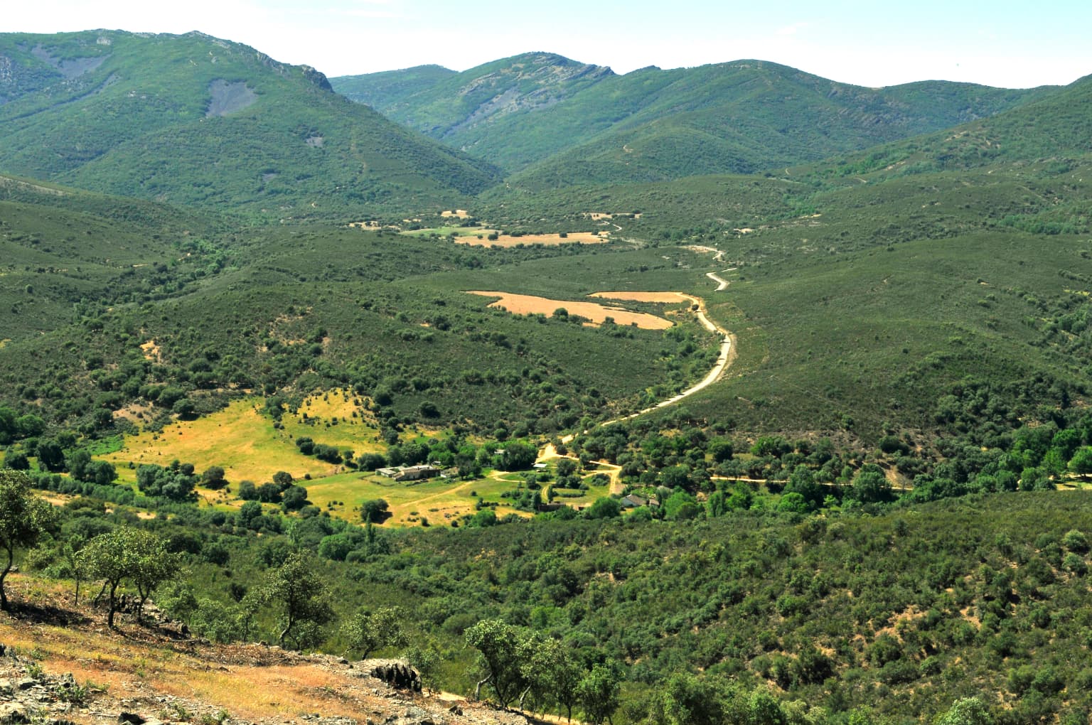 Panoramic view of a green valley with rolling hills, a winding road, scattered trees, and distant mountains under a clear sky
