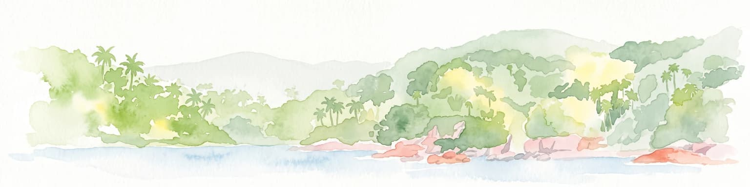 Una acuarela que muestra una costa de isla boscosa y verde con palmeras y afloramientos rocosos, bordeada por agua azul sobre un fondo blanco.