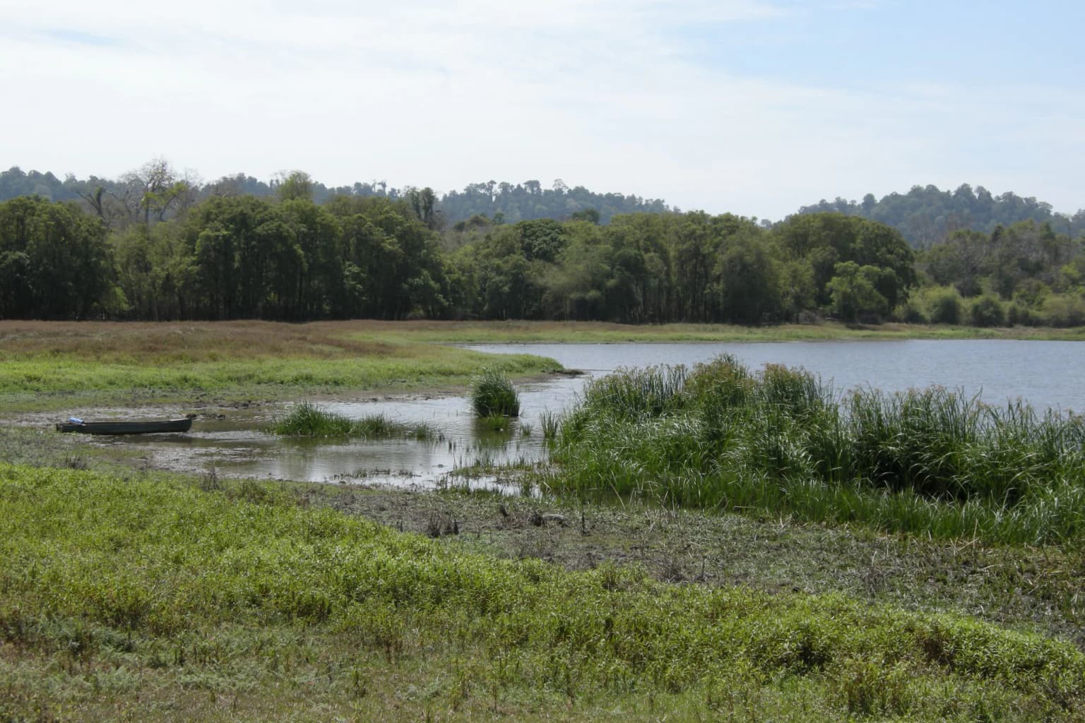 Una vista paisajística de una masa de agua poco profunda rodeada de densa vegetación verde y árboles bajo un cielo parcialmente nublado