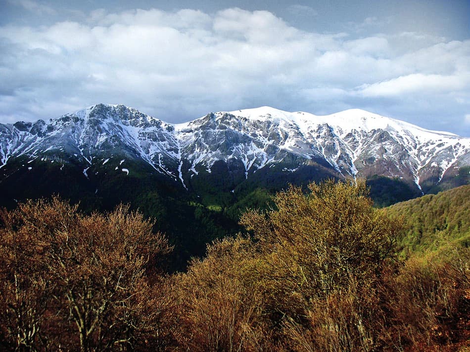 Snow-covered mountain peaks with forested valleys and autumn foliage in the foreground