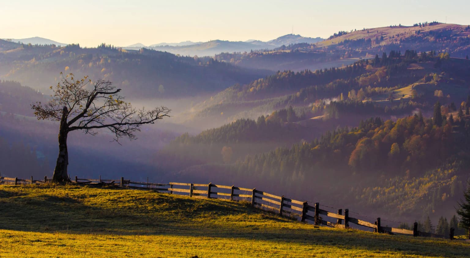 Misty mountain landscape with a lone tree on a grassy hill, wooden fence, and rolling hills in the background.