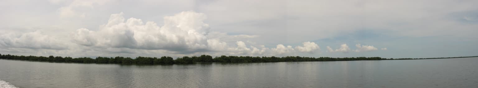 Panoramic view of Ciénaga Grande de Santa Marta wetland featuring wide water body with tree line on horizon under partly cloudy sky