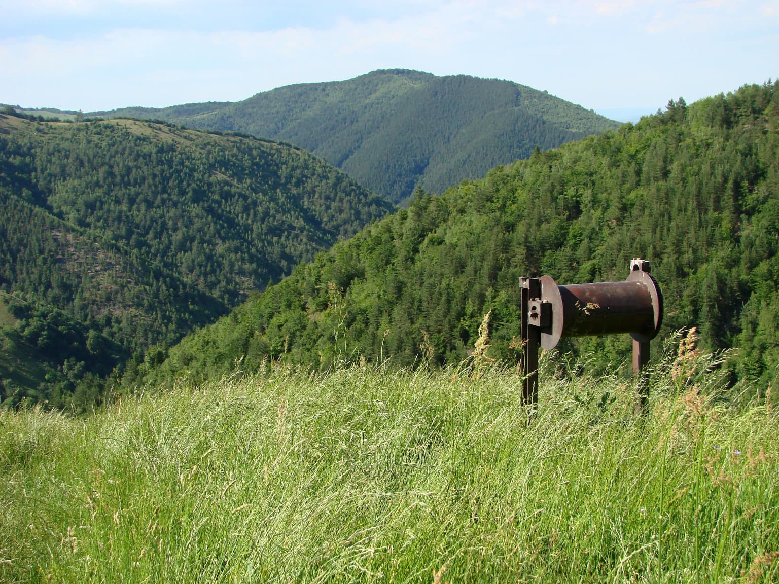 Grassy meadow with tall green grass in foreground, metal signpost, and forested mountain hills under a partly cloudy sky