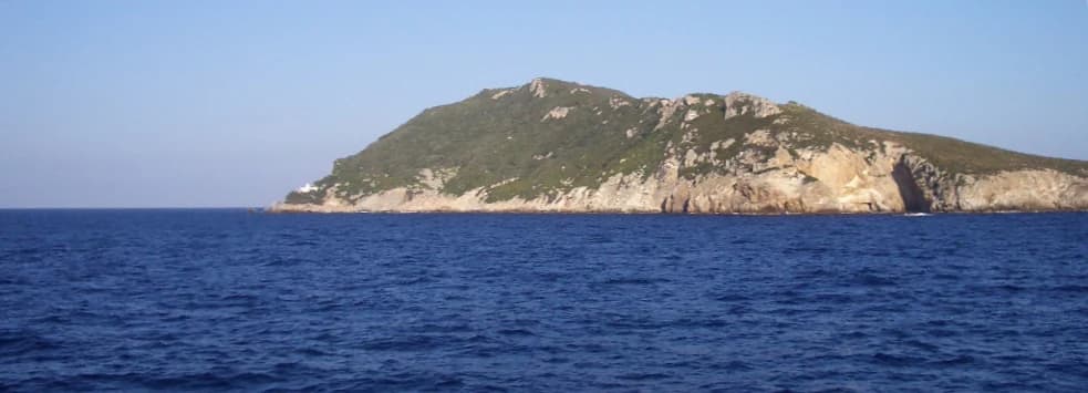 A coastal island with rocky cliffs and vegetation surrounded by the sea under a clear blue sky