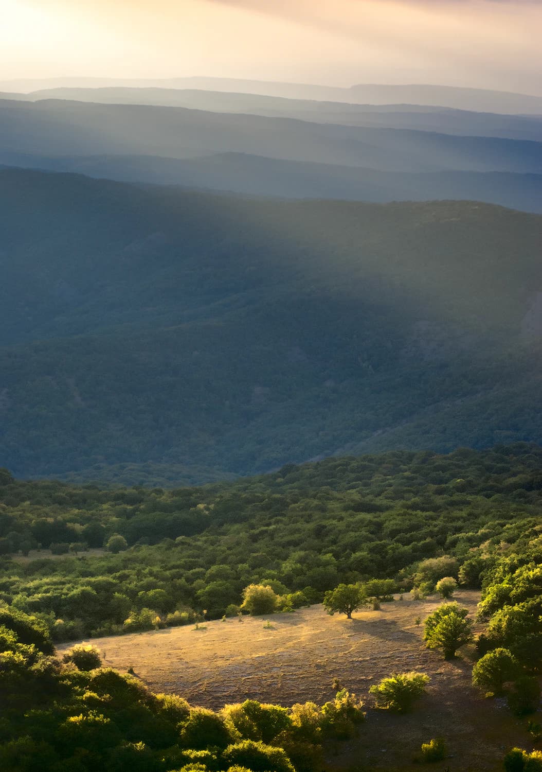 Sunlit valley surrounded by forested mountains with rays of sunlight streaming across the landscape