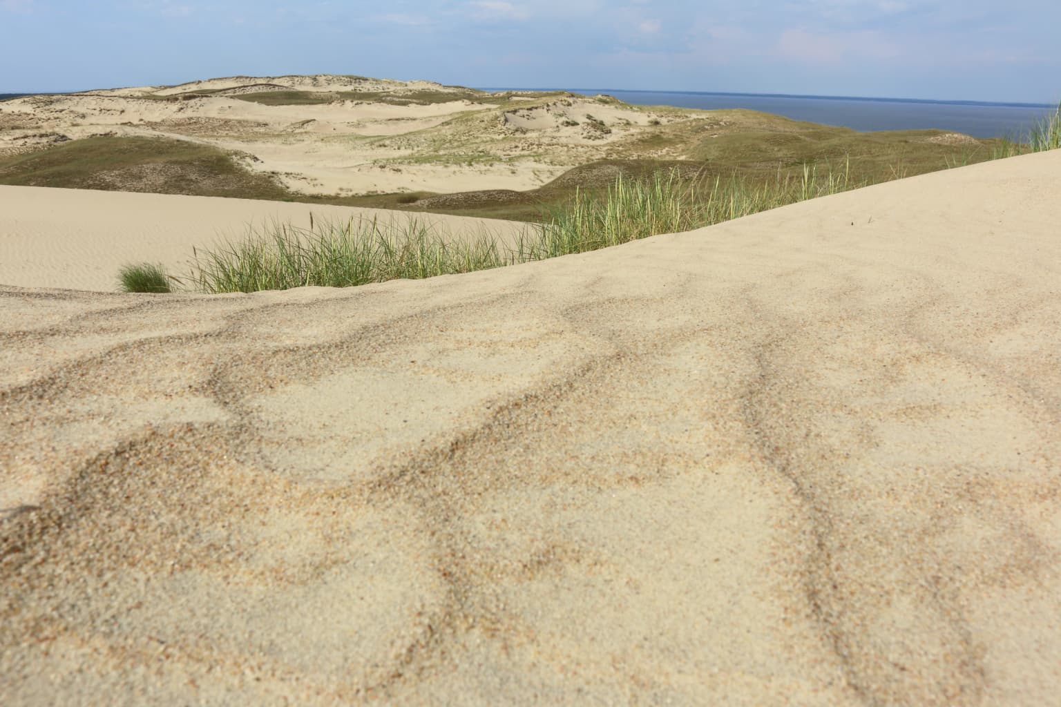 Sand dunes with visible patterns and textures, patches of grass on dunes, distant body of water, clear sky