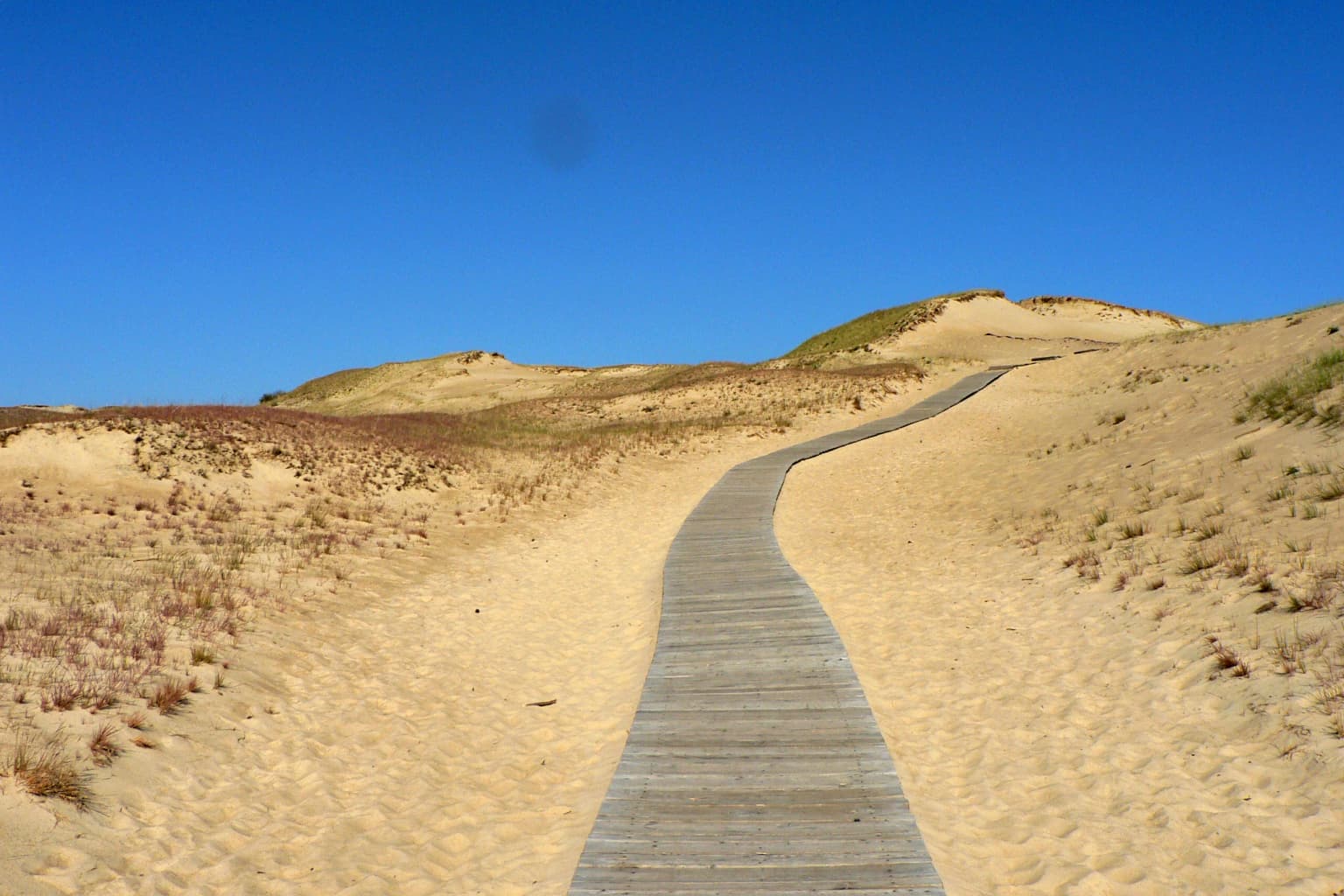 Wooden boardwalk traversing sandy dunes with sparse vegetation under clear blue sky