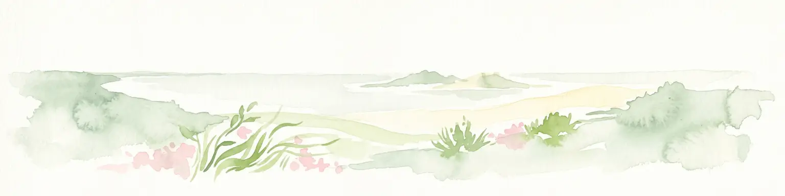 Una ilustración panorámica en acuarela que muestra un paisaje minimalista con dunas de color verde claro, matas de hierba y pequeñas flores rosas en primer plano sobre un fondo blanco.
