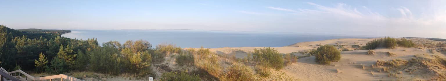 A wide panoramic photograph showing sandy dunes with sparse vegetation in the foreground, a dense forest on the left, and a large body of water stretching to the horizon under a pale blue sky.