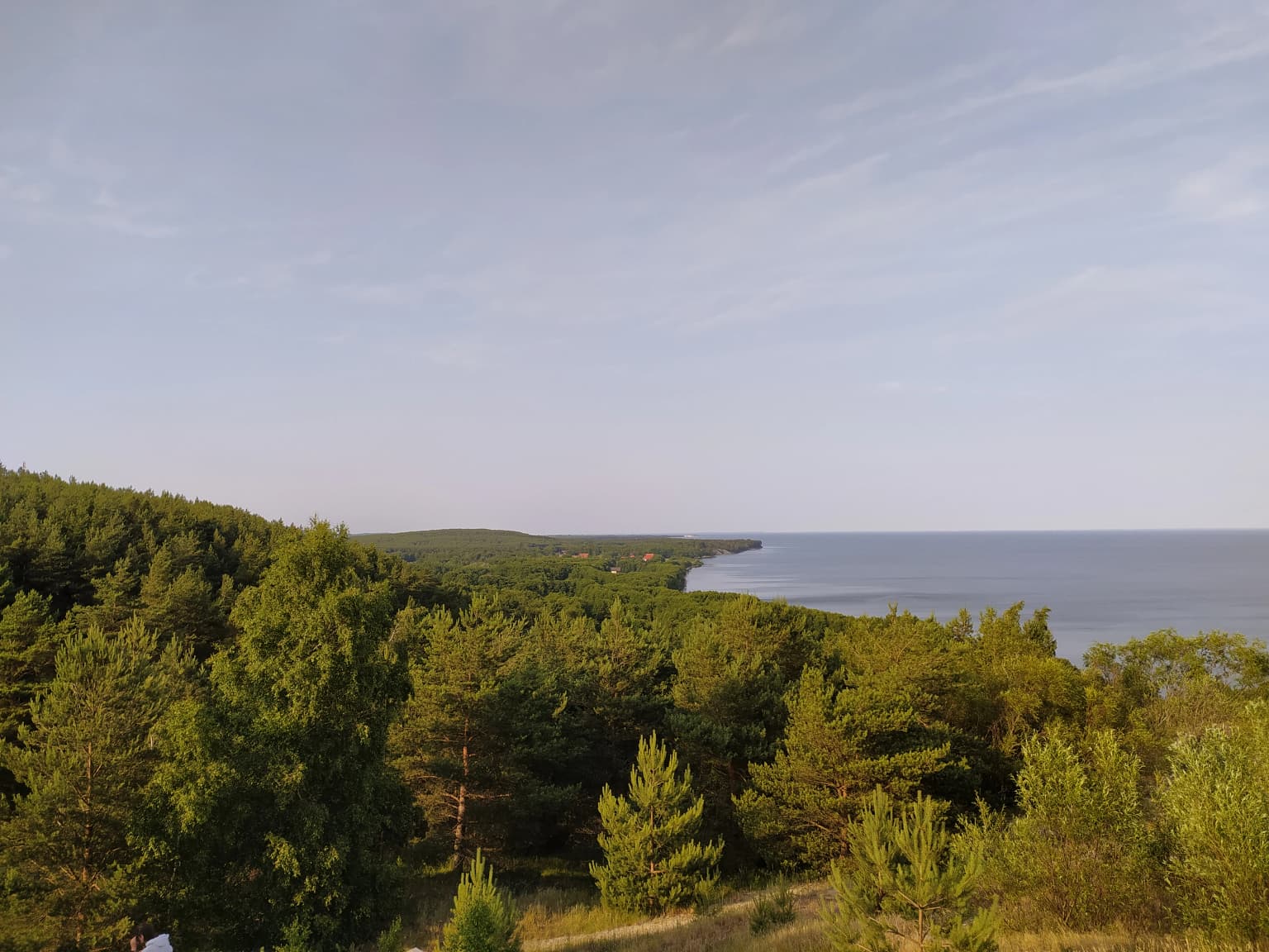 A wide landscape photograph taken from a high vantage point, showing a dense green pine forest covering a narrow strip of land that curves along a large body of water under a pale sky.