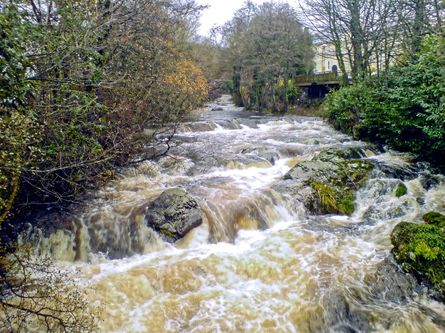 A fast-flowing river with brown water flowing over rocks, surrounded by trees and vegetation on both banks, with buildings visible in the background