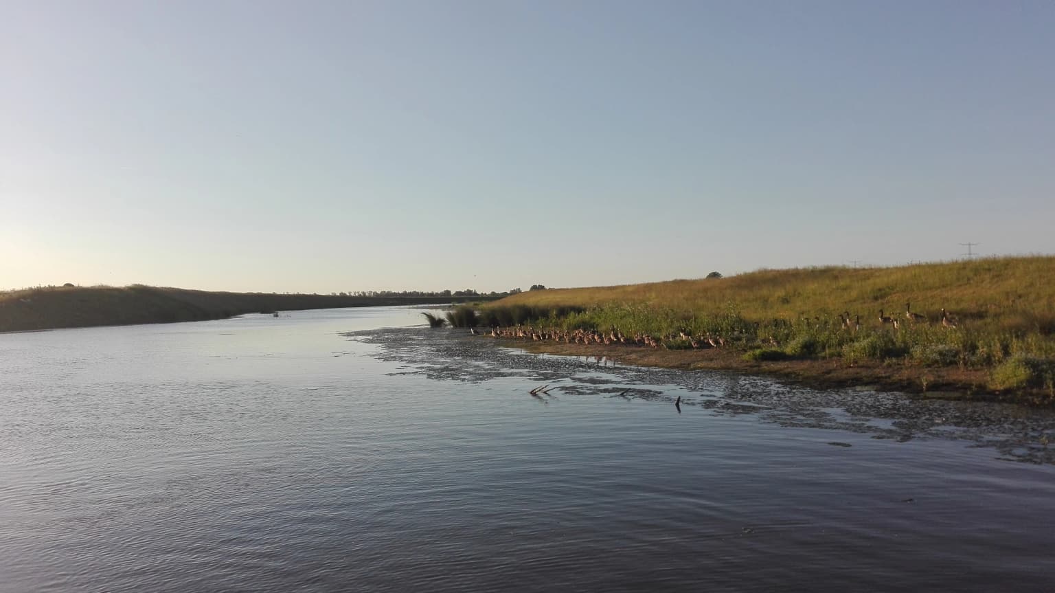 Wide river with calm water flowing through grassy banks under a clear sky