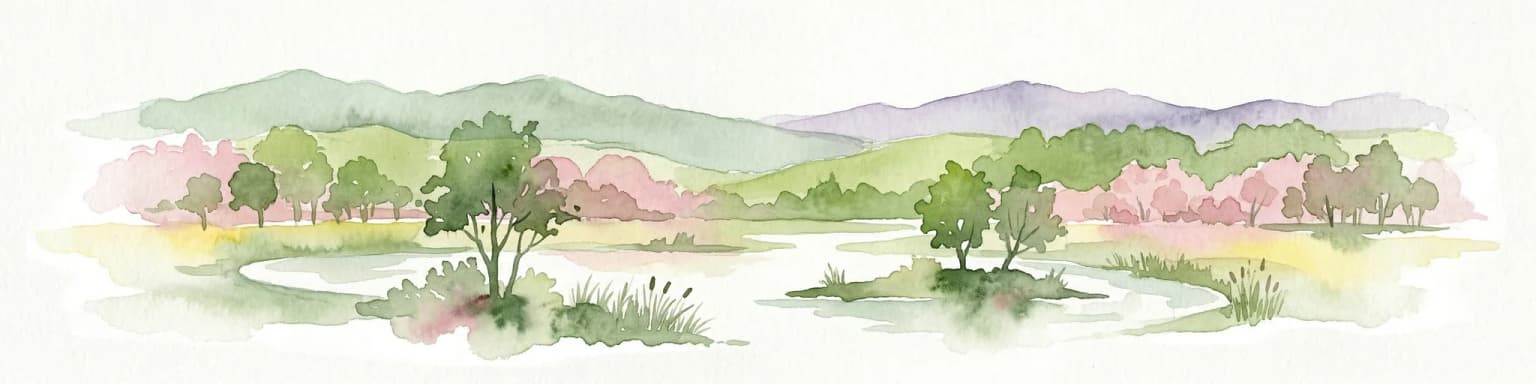 Watercolor illustration showing a network of rivers, trees, and hills in a wetland landscape