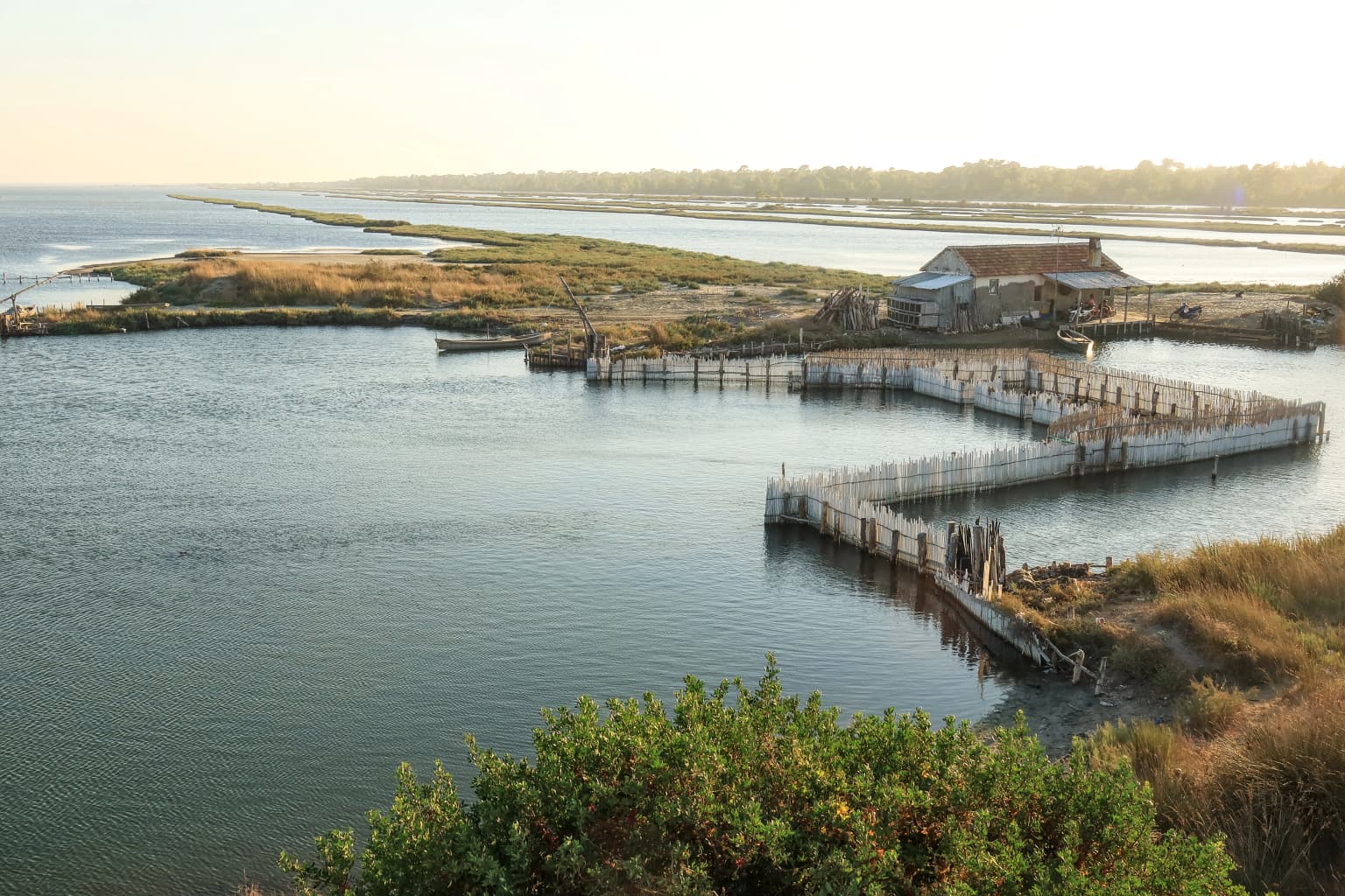 A fisherman's house with a wooden pier extending into Karavasta Lagoon, surrounded by wetland vegetation and open water