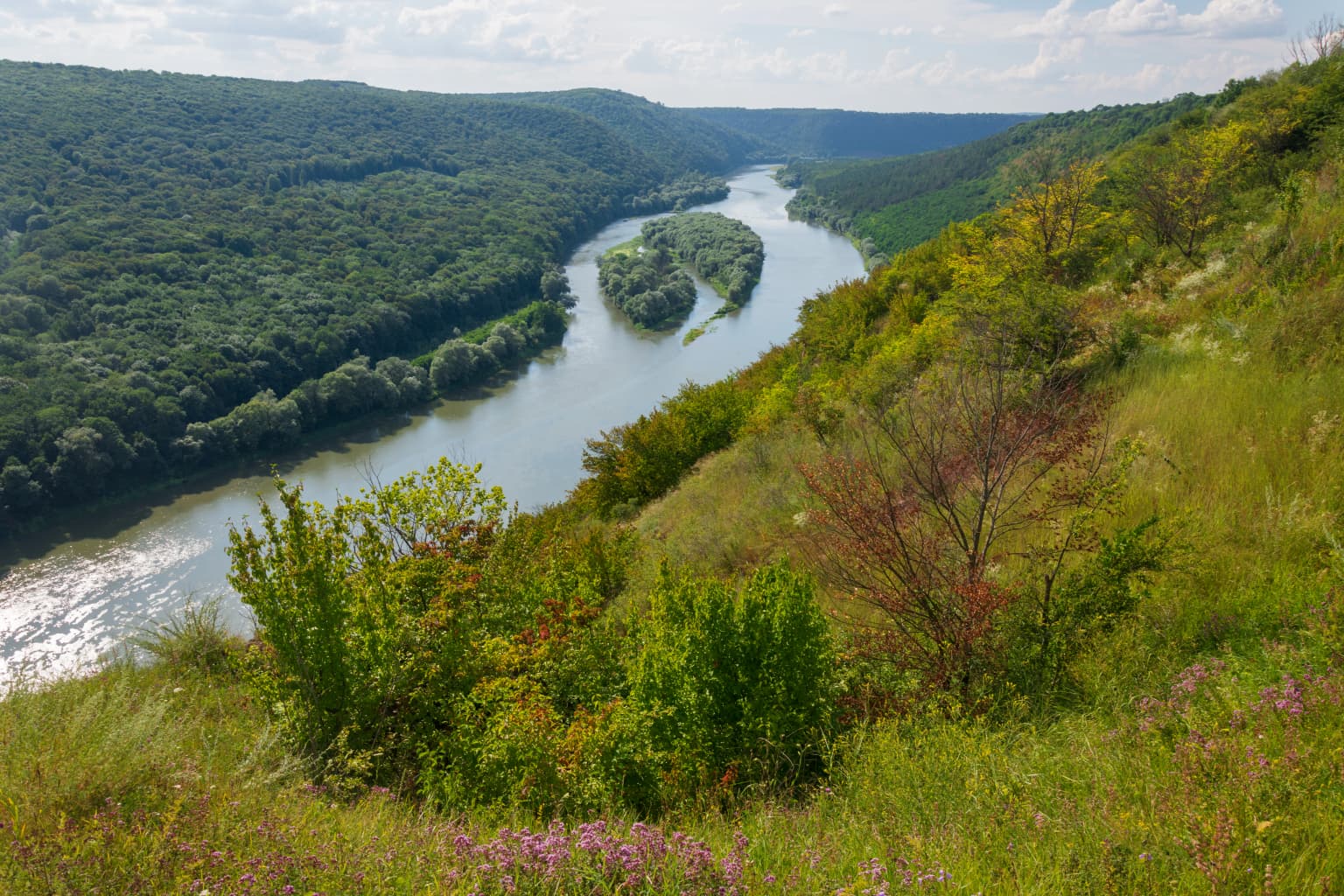 A winding river flows through a deep canyon with lush green hills and vegetation in the foreground