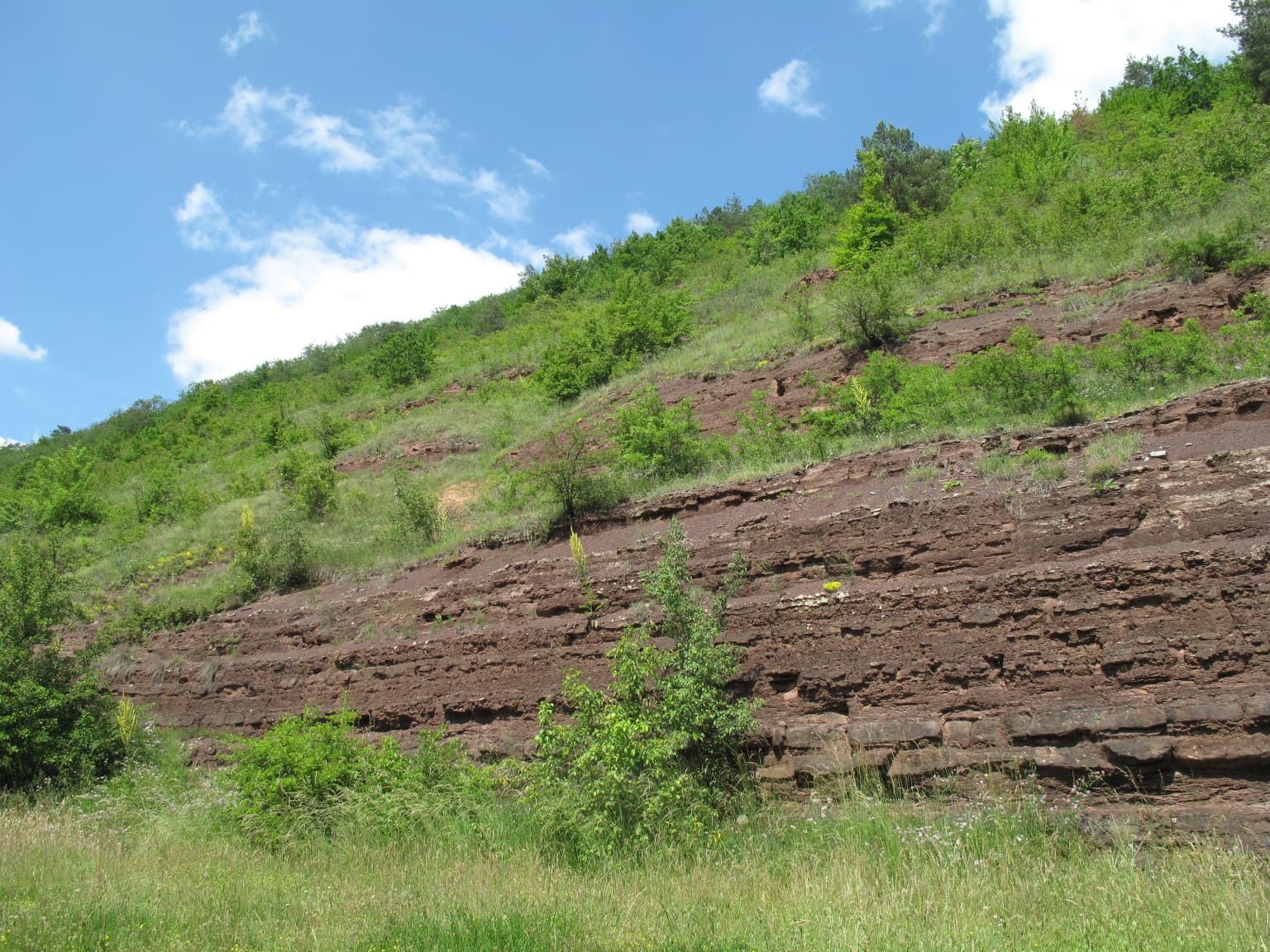 Layered red sandstone formations on a grassy hillside under blue sky with scattered clouds