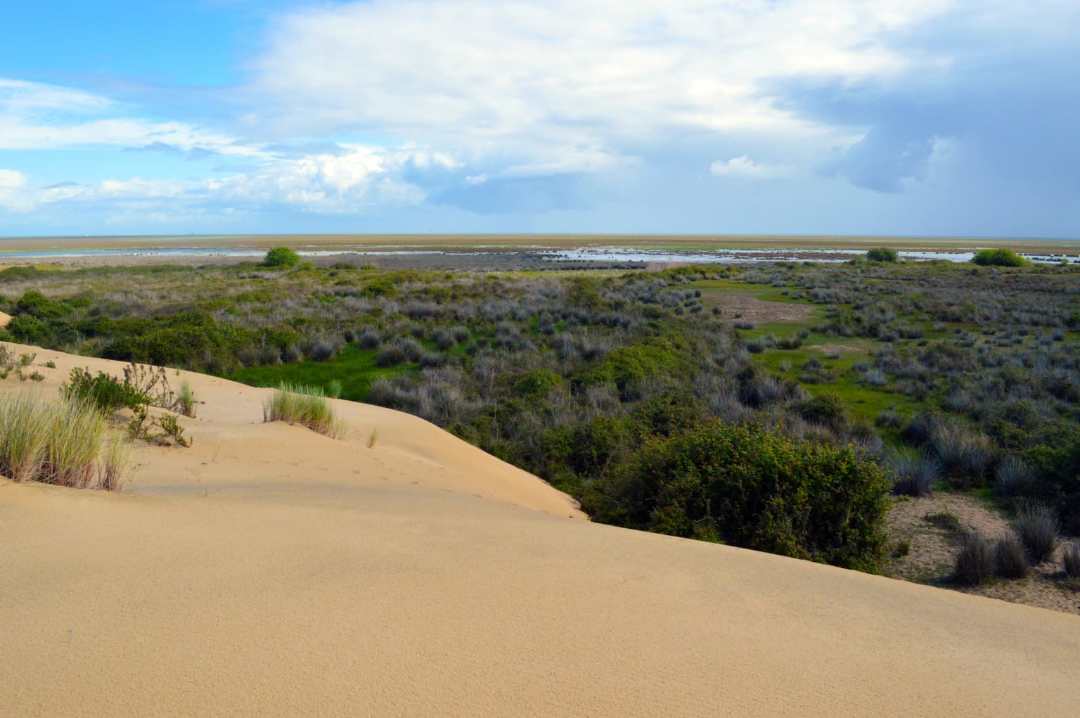 Sand dunes and marshland landscape with scattered vegetation under a partly cloudy sky