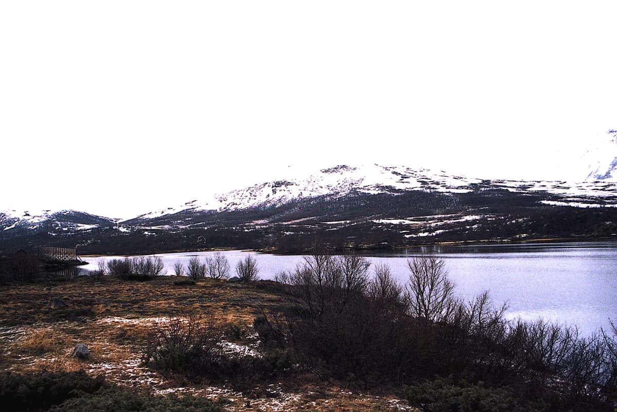 A lake surrounded by sparse vegetation and snow-capped mountains under an overcast sky