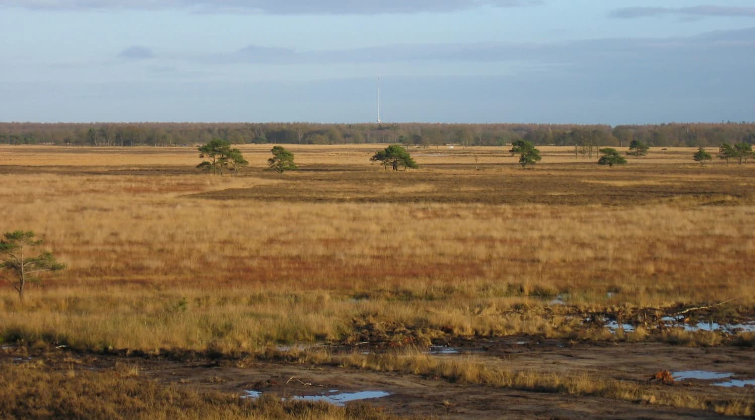 Golden-brown grassland with scattered trees and small water patches under a partly cloudy sky