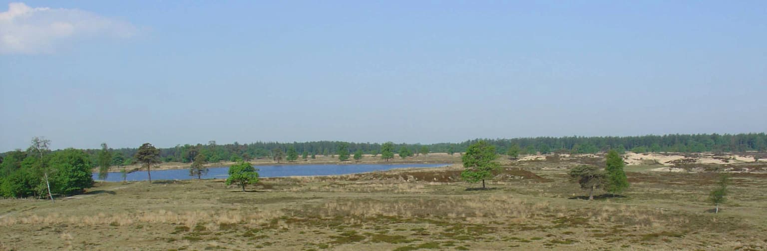 Wide landscape view of a lake surrounded by sandy and grassy terrain with scattered trees under a clear blue sky