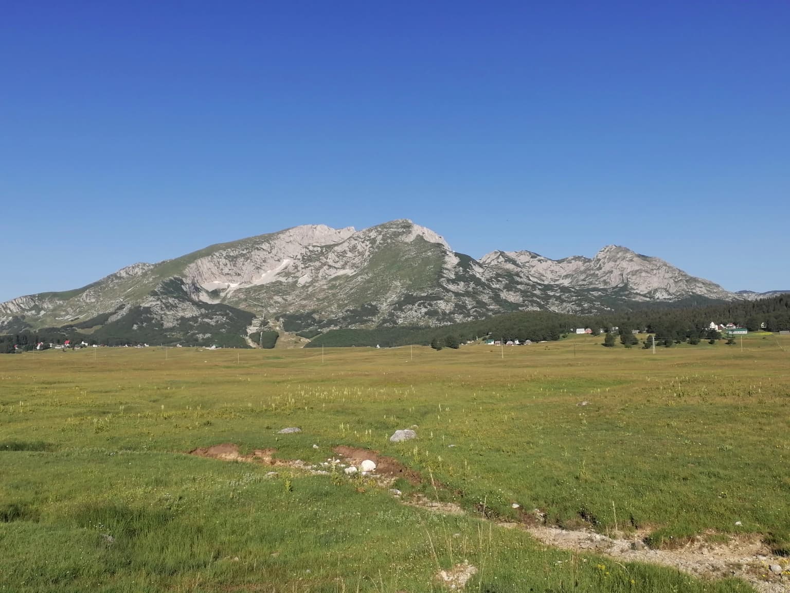 Grassy field with rocky mountain range in background under clear blue sky