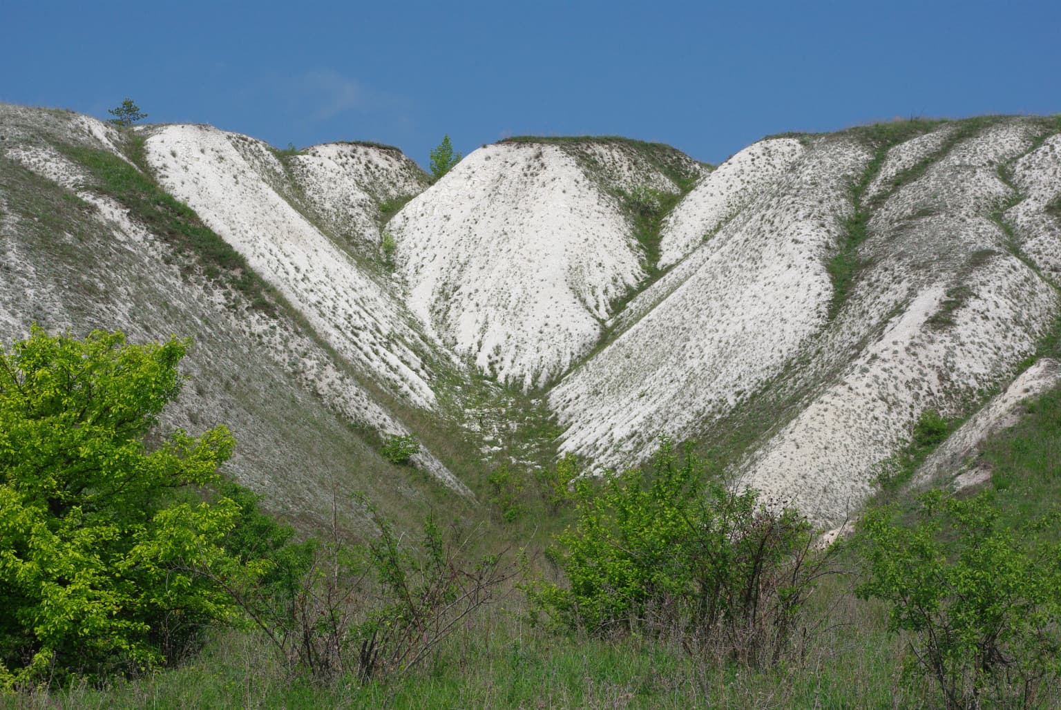White rocky hills with patches of green vegetation under a clear blue sky, with green trees and bushes in the foreground