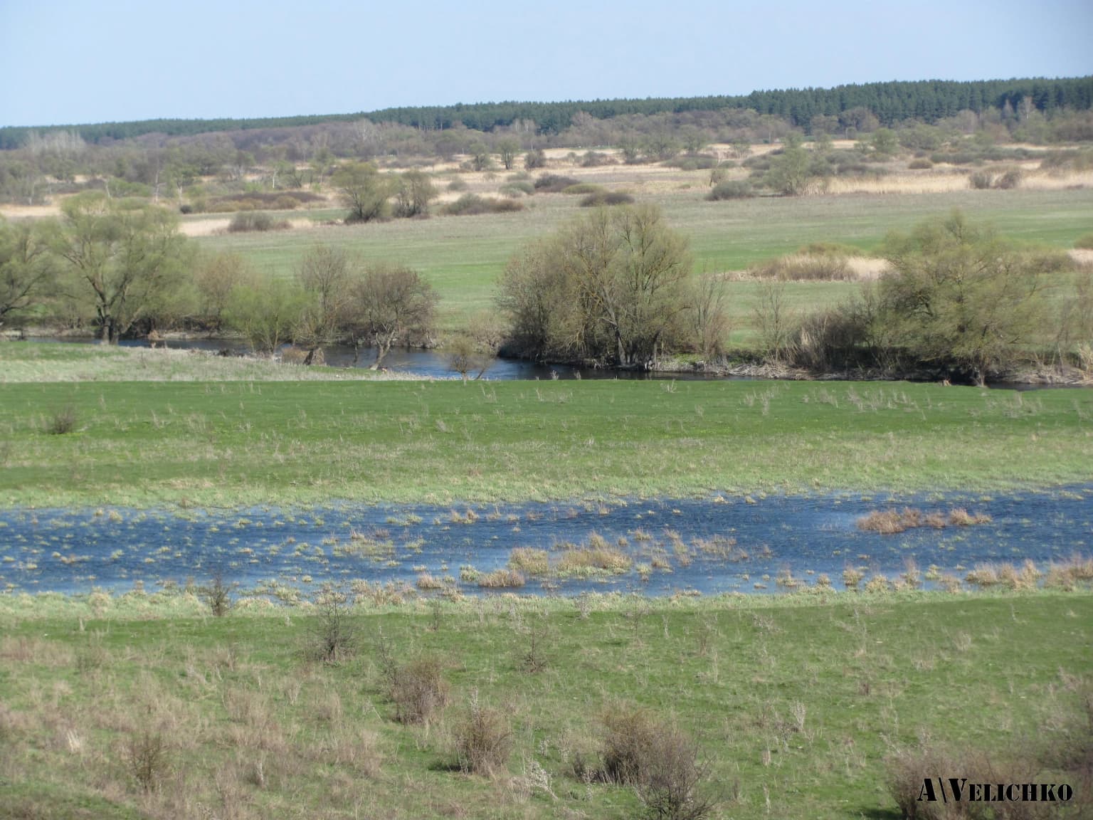 A wide river flows through green meadows with scattered trees and distant forest under a clear sky