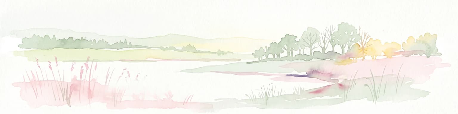 A soft-toned watercolor painting of the Dyfi estuary in Wales, showing marshy foreground, water, and distant trees under a pale, minimalist sky.