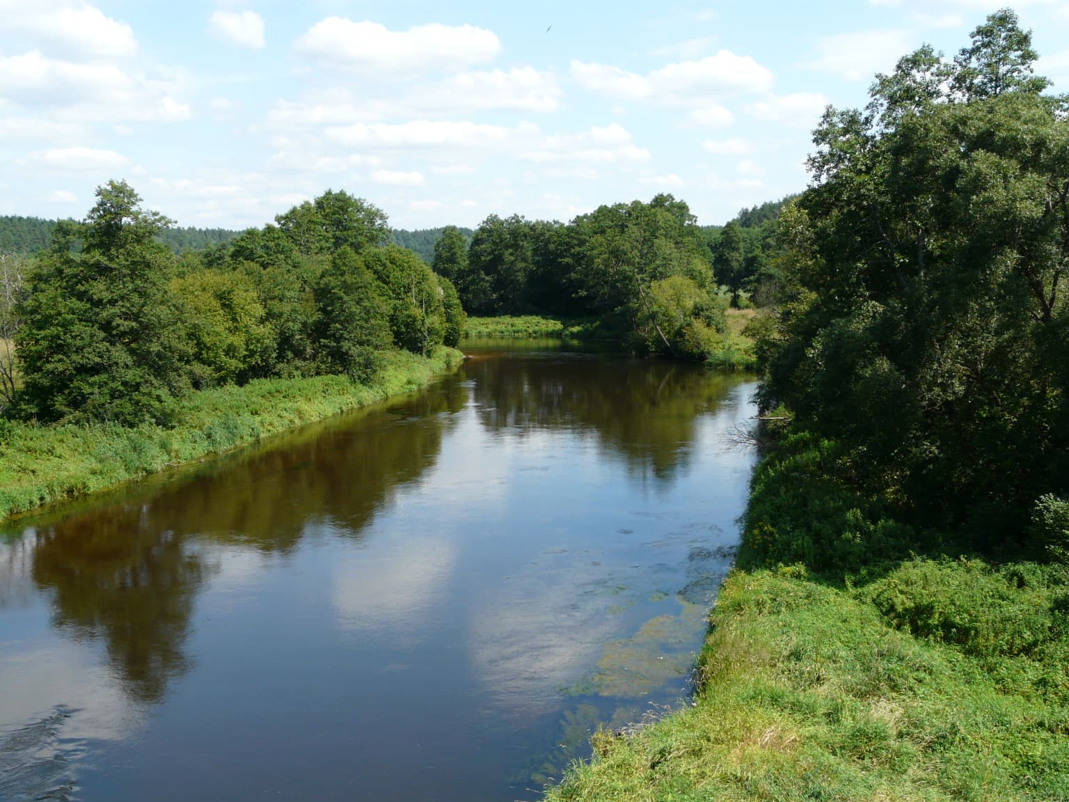 River with reflections of clouds and trees surrounded by dense green forest under a partly cloudy sky.
