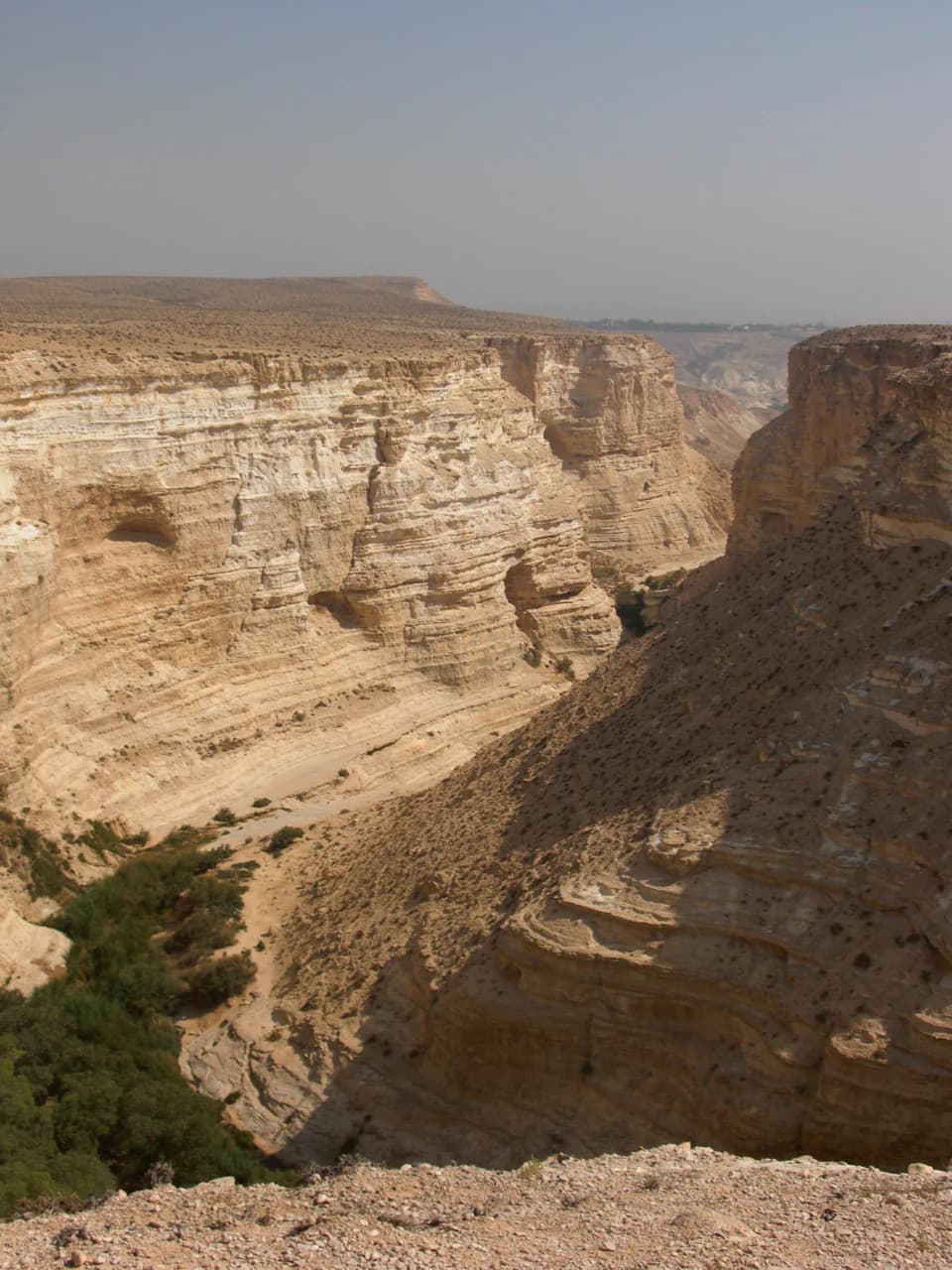 Rocky canyon with layered cliffs and sparse vegetation under clear sky.