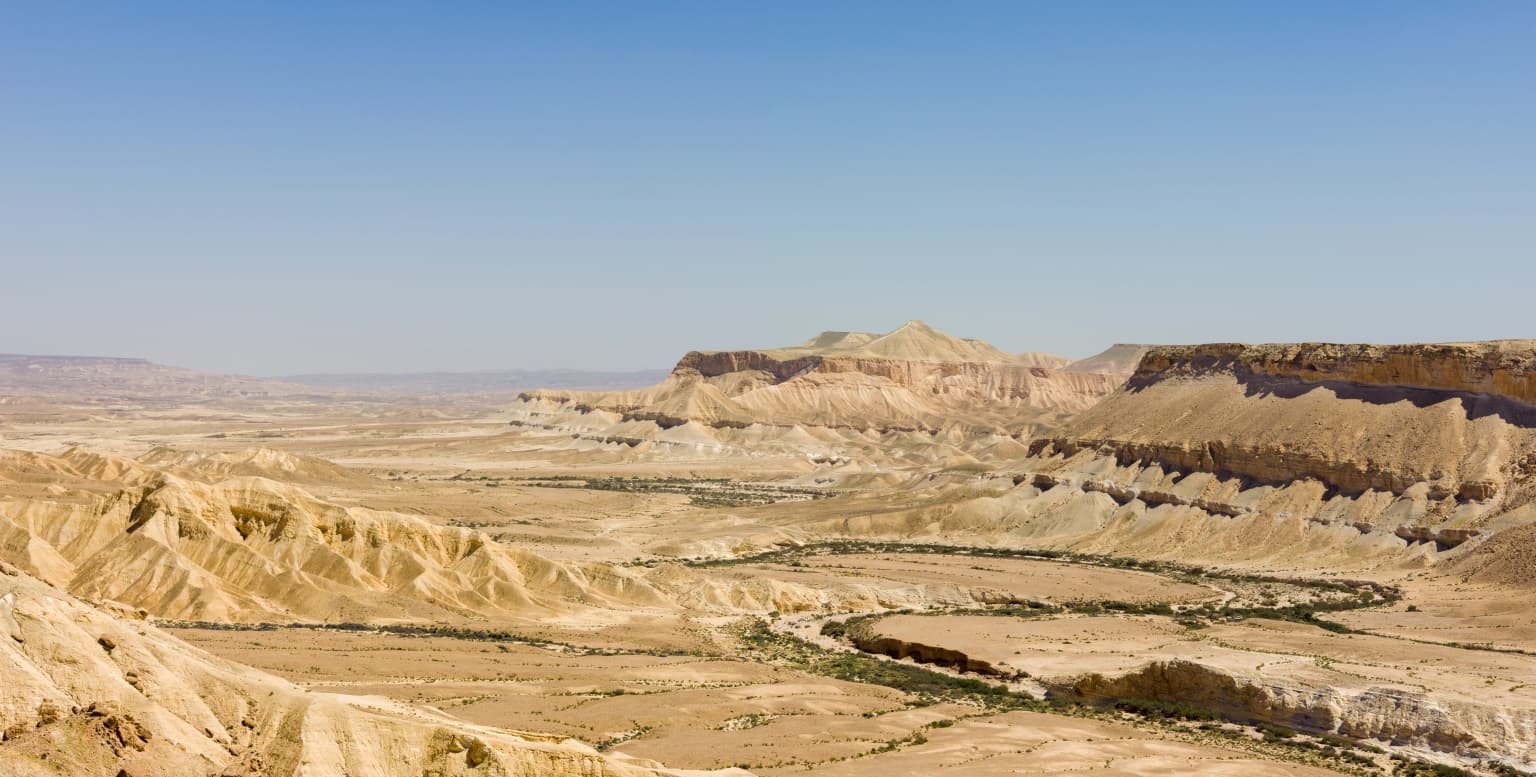 Wide view of Ein Avdat canyon with rocky terrain, desert valleys, and distant mountains under a clear blue sky