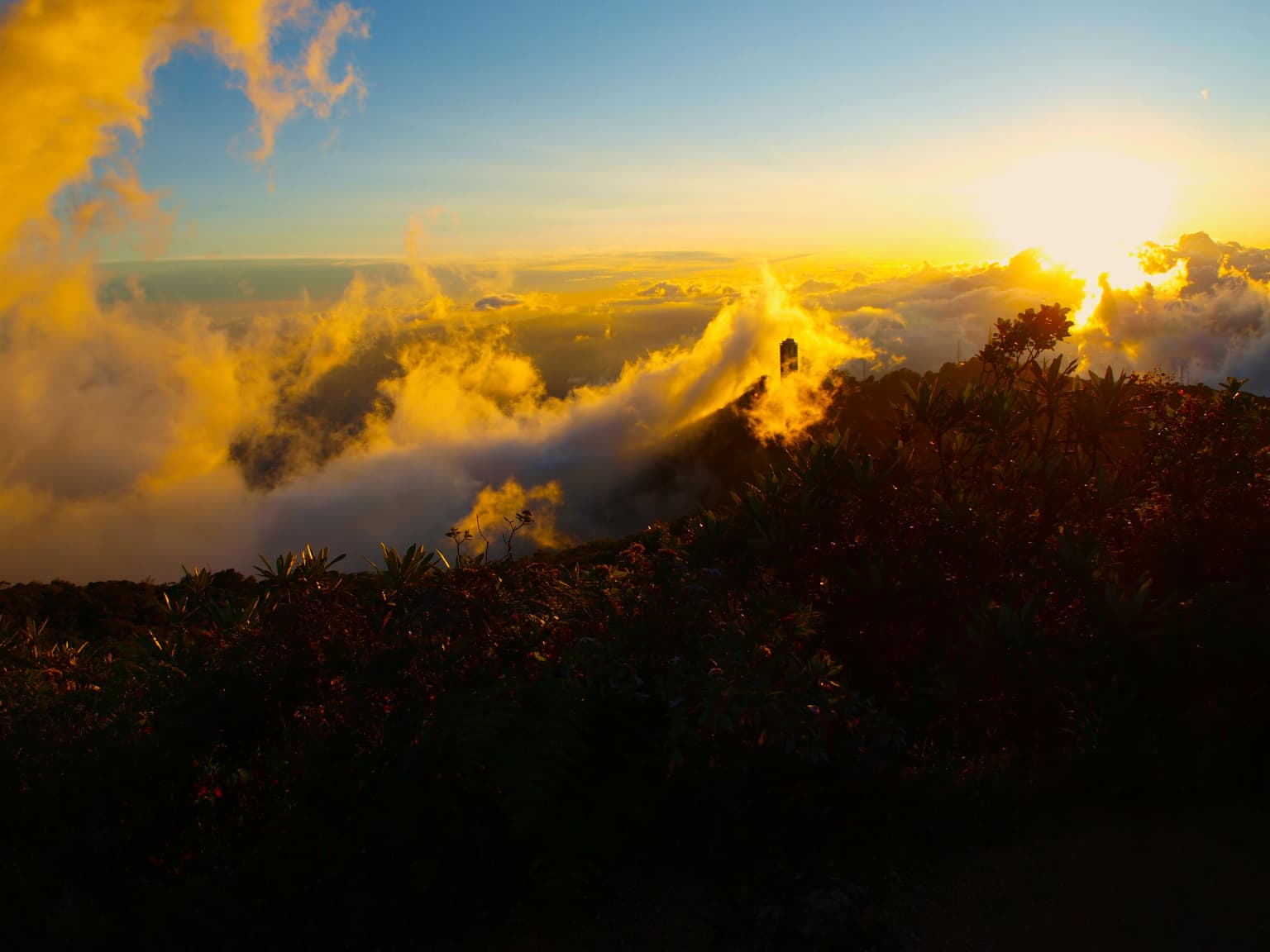 Silhouetted mountain ridge at sunset with clouds below and golden sky