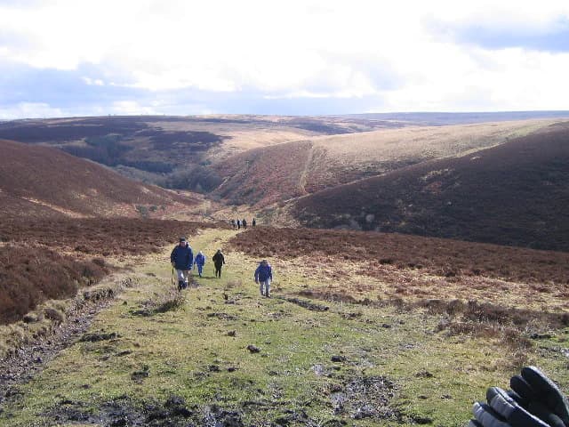 Group of hikers walking on a grassy path through rolling hills and moorland landscape