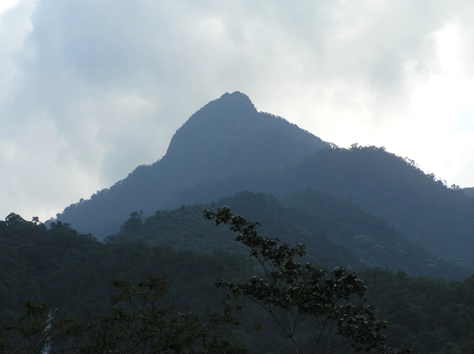 Pico montañoso visible entre la niebla con terreno boscoso en primer plano