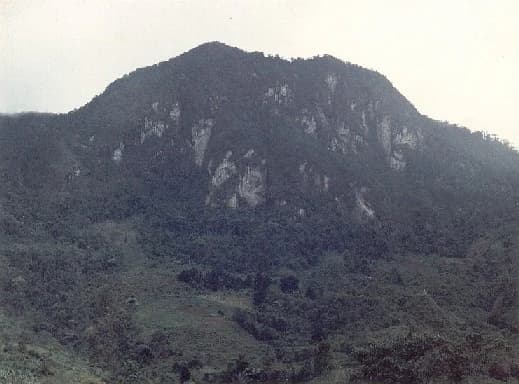 Una montaña con acantilados rocosos y laderas boscosas bajo un cielo nublado