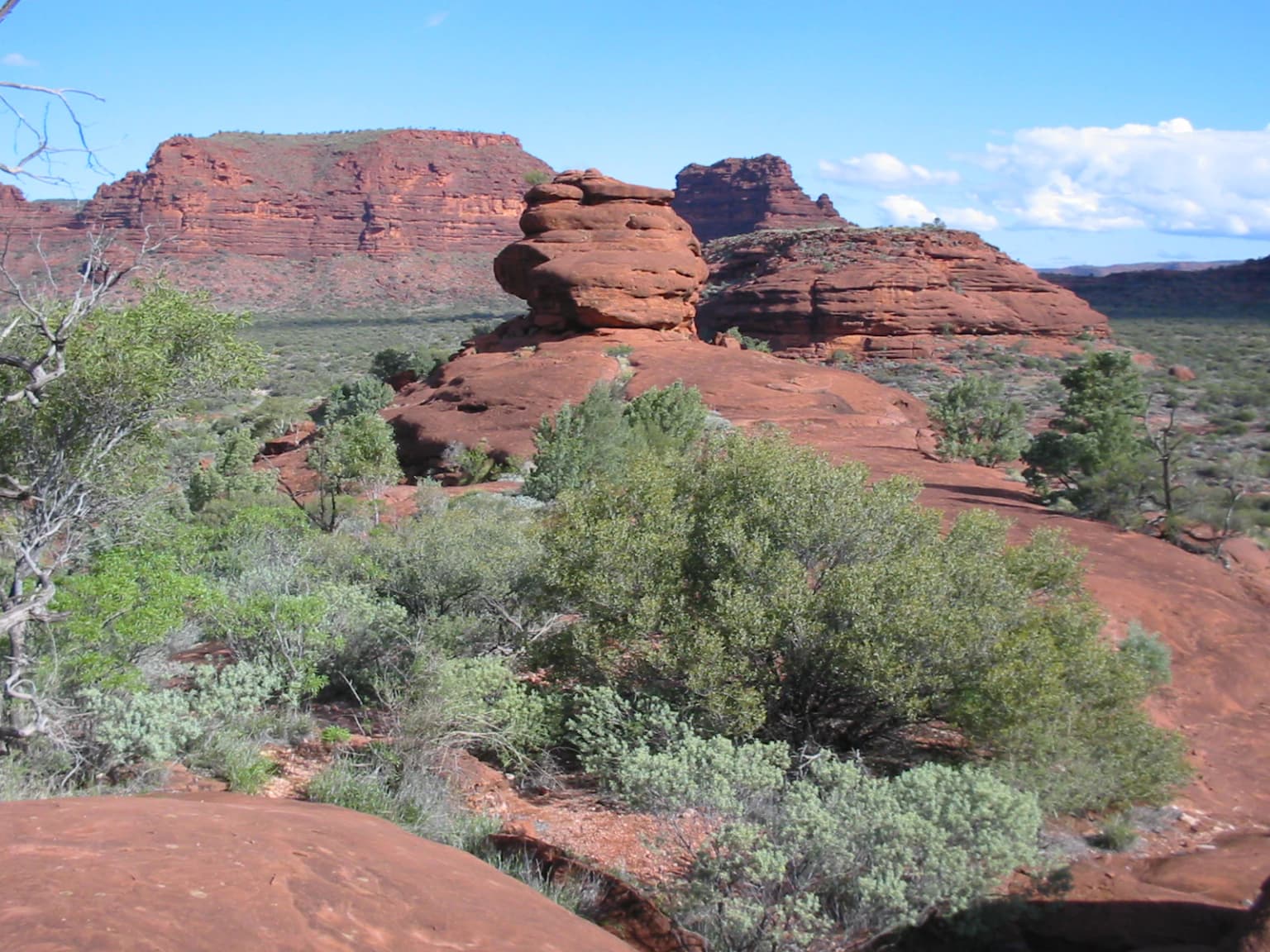 Red rock amphitheater landscape with green shrubs and trees under a clear blue sky