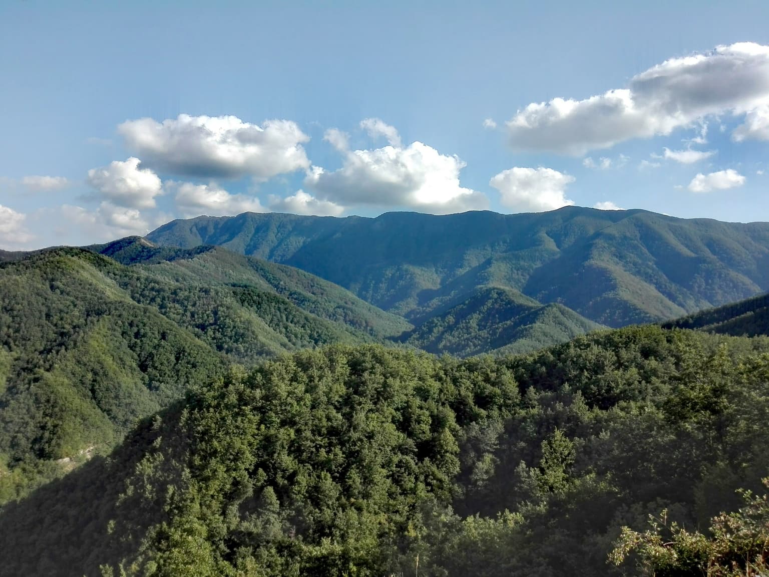 Panoramic view of rolling green mountains and dense forests under a partly cloudy sky